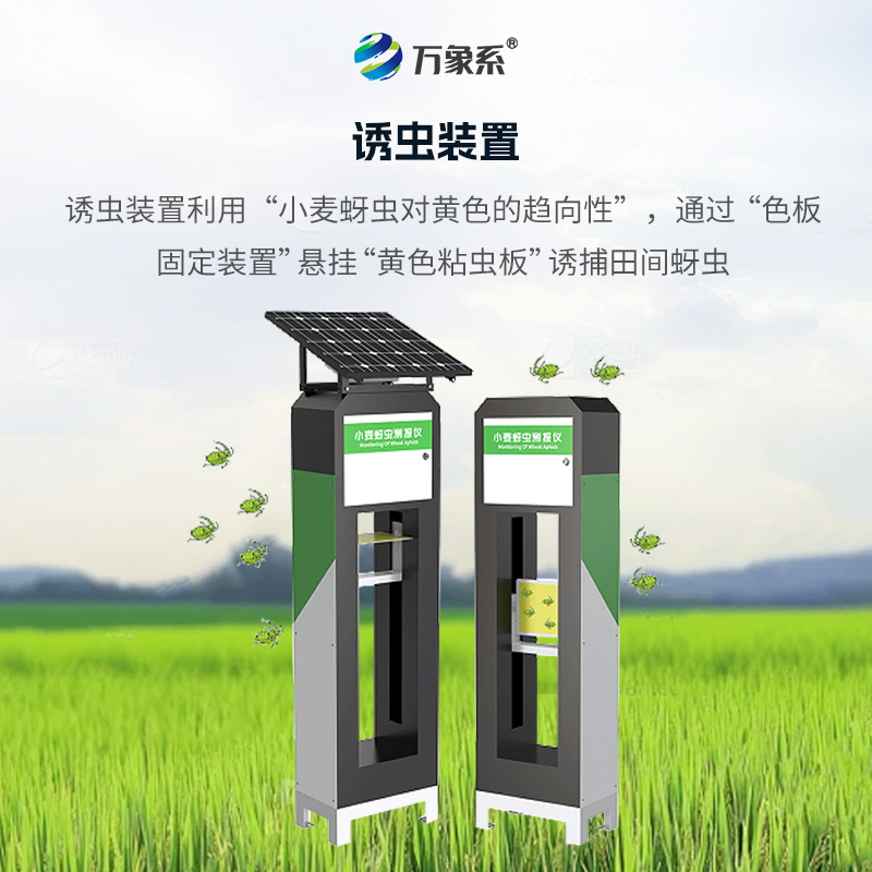 小麥蚜蟲測(cè)報(bào)儀
